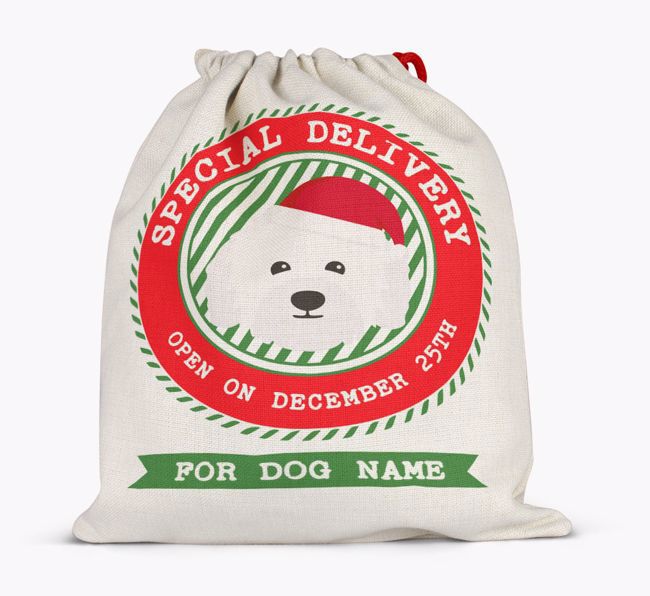 Special Delivery: Personalised {breedFullName} Santa Sack